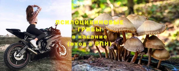 бутират Богородск
